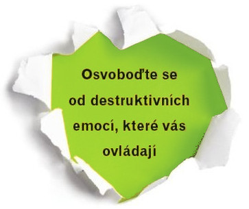 Nepřátelé srdce ONLINE